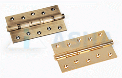 Brass Bearing Hinges 