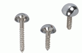 Brass Mirror Screws  